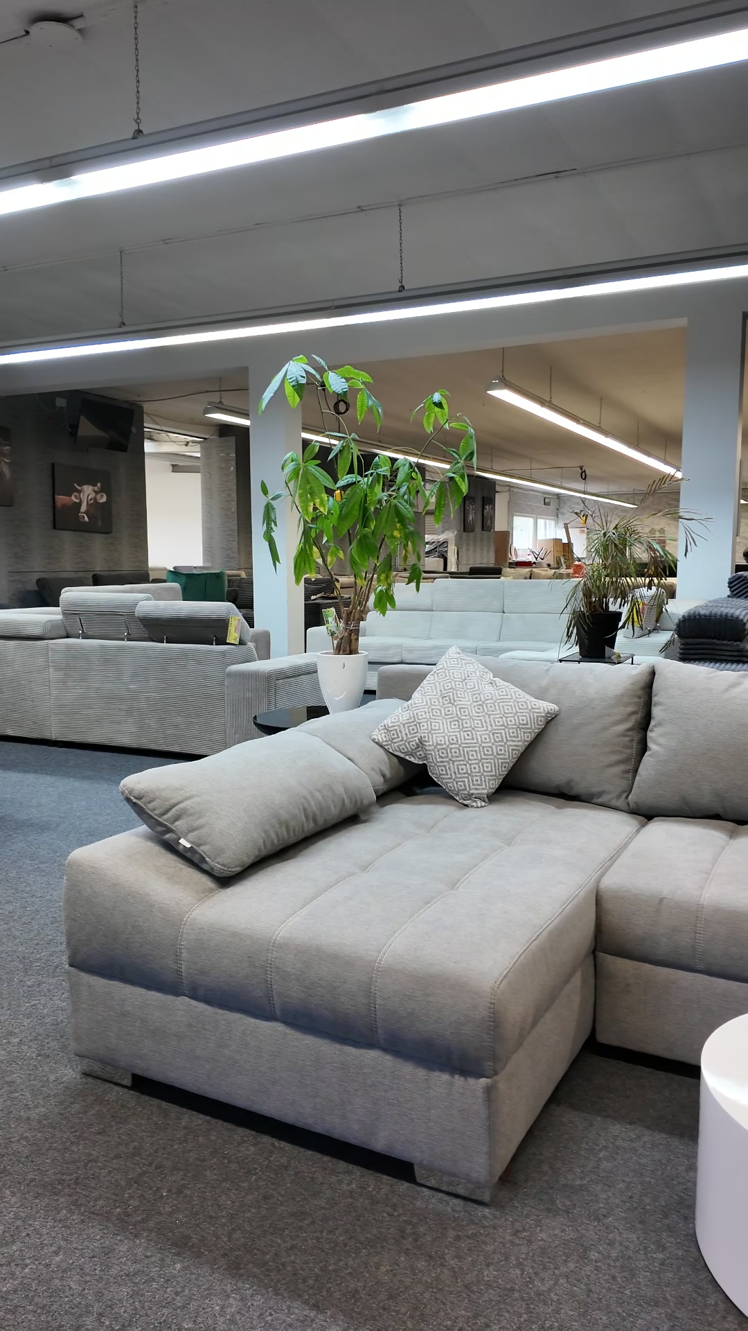 sofa #möbel #neu #modern #osnbrück