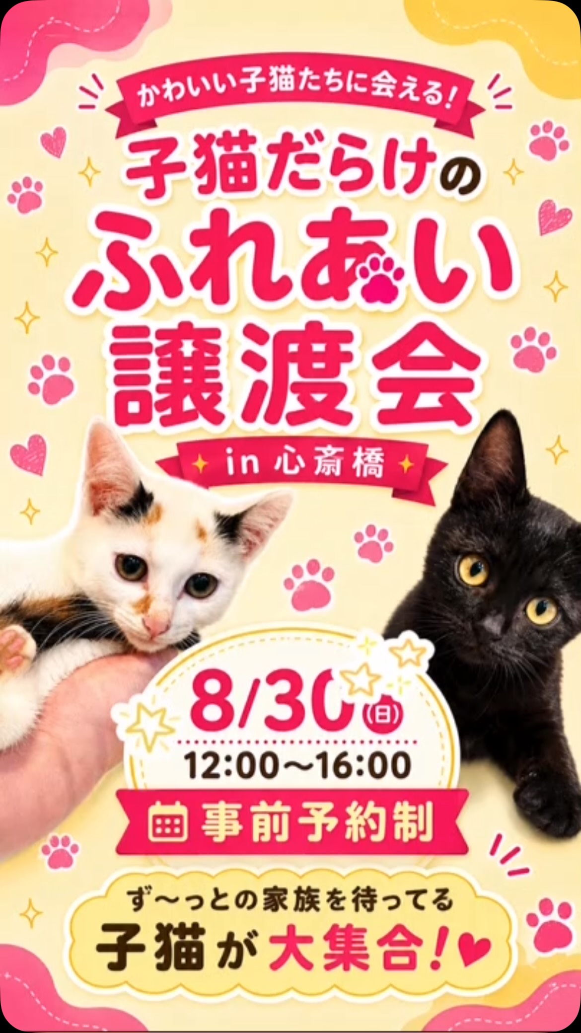 ⭐️1 Csforest ❣️大阪市引き取り限定❣️ ⭐️1 Csforest ❣️大阪