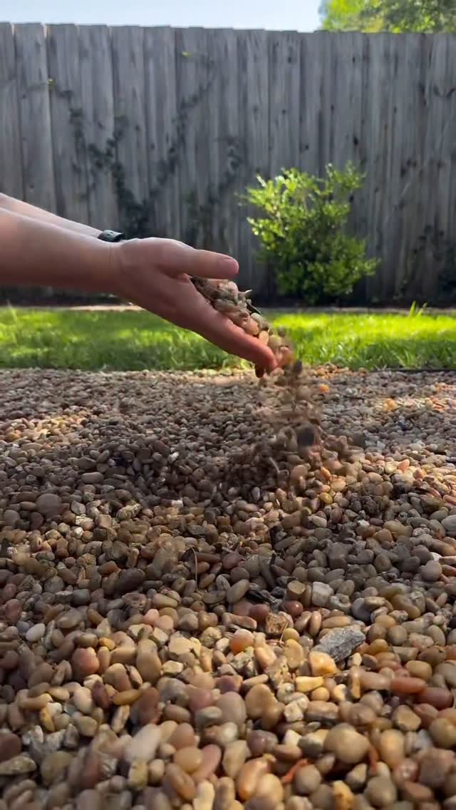 Used Lockscape Rock Glue Max for my backyard project—this stuff does ...