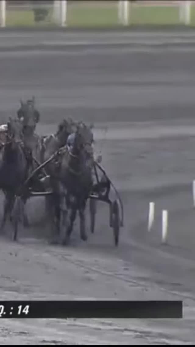 Timoko win Prix De Bourgogne Gr2 2016 #horseracing #trot #horse # ...