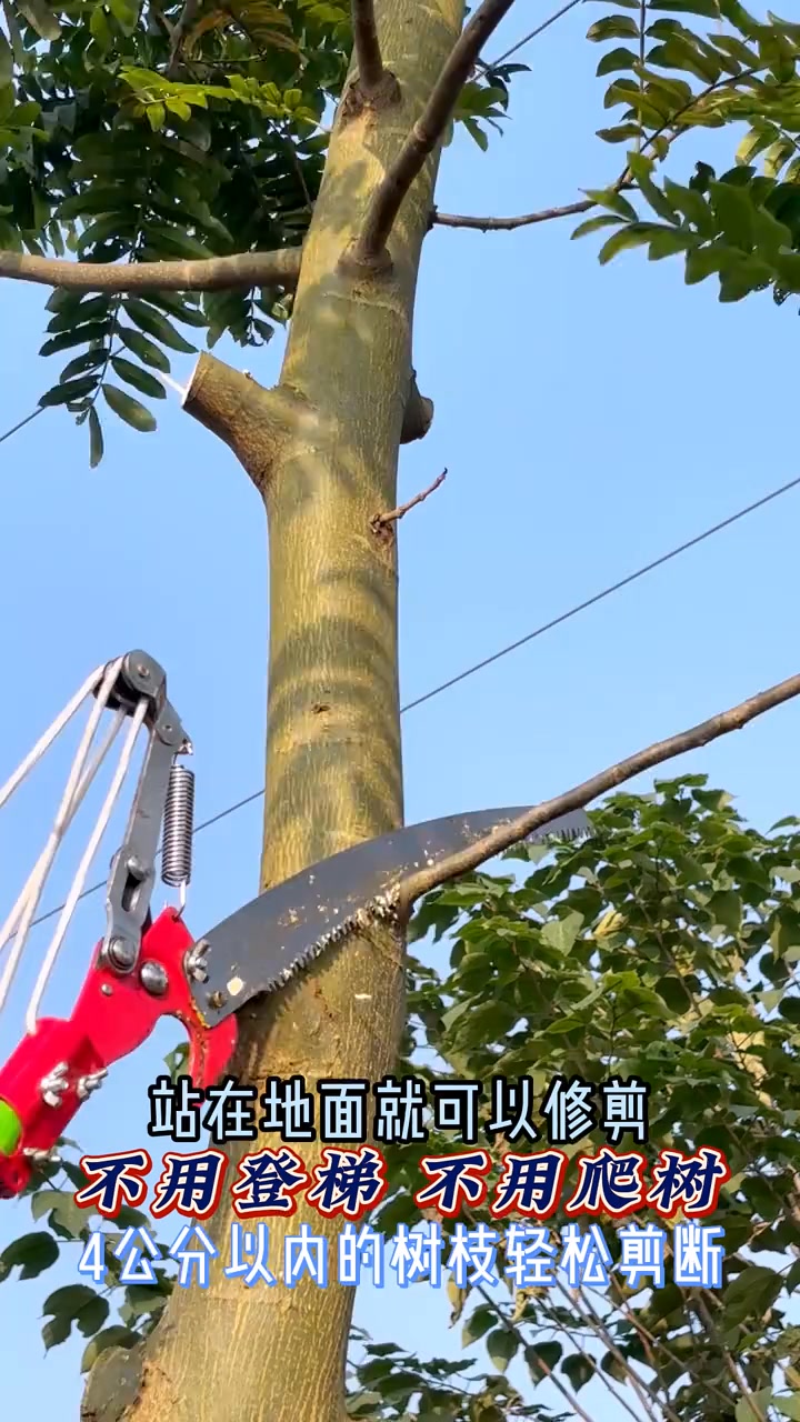 站在地面就可以修剪高處的樹枝，非常好用 #高空修枝剪 #樹枝修剪 #鋸樹神器推薦 #園林工具 | 老刘种树修剪 | Facebook