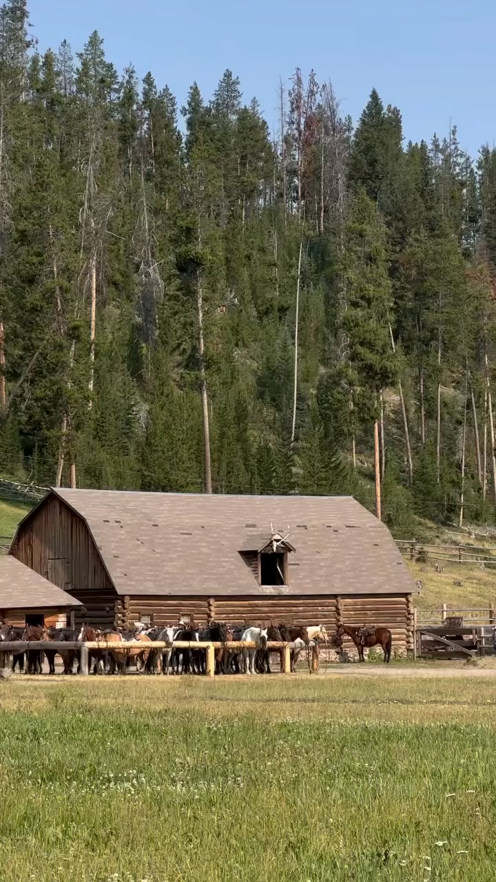 Monday morning at the barn! Our guests and wranglers getting ready for ...