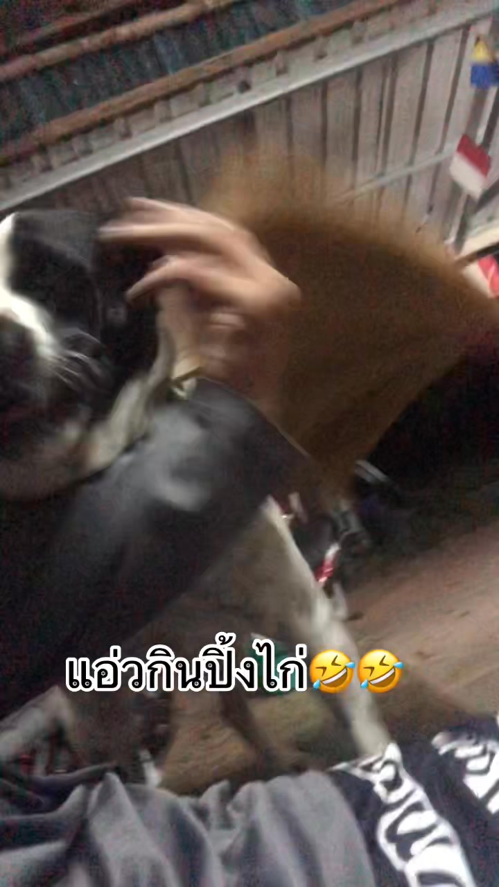 อยากกินปิ้งไก่😗😗 | Parichat Sodhom | Facebook