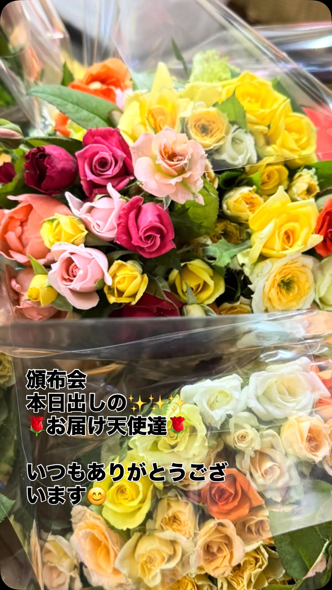 ほんだ バラ 香園