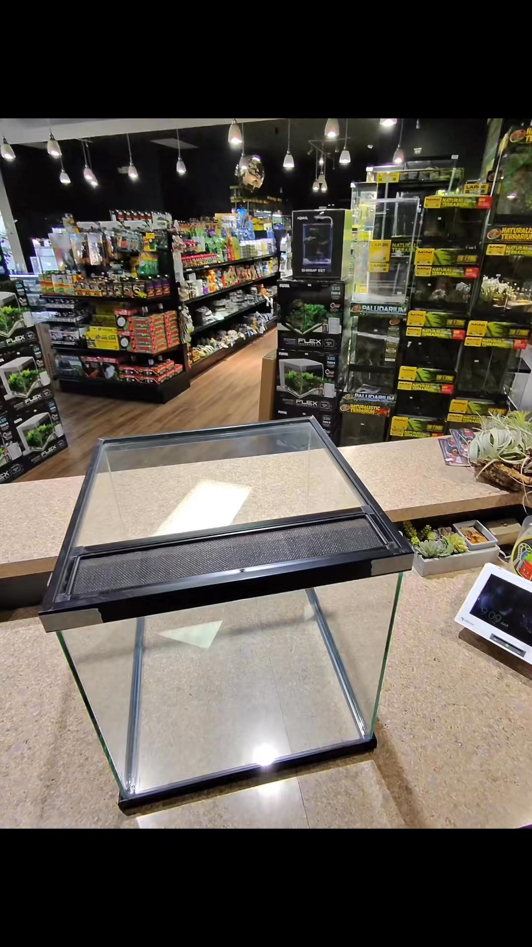 How to build a bioactive Dart Frog vivarium using a 16” cube. Bioactive ...