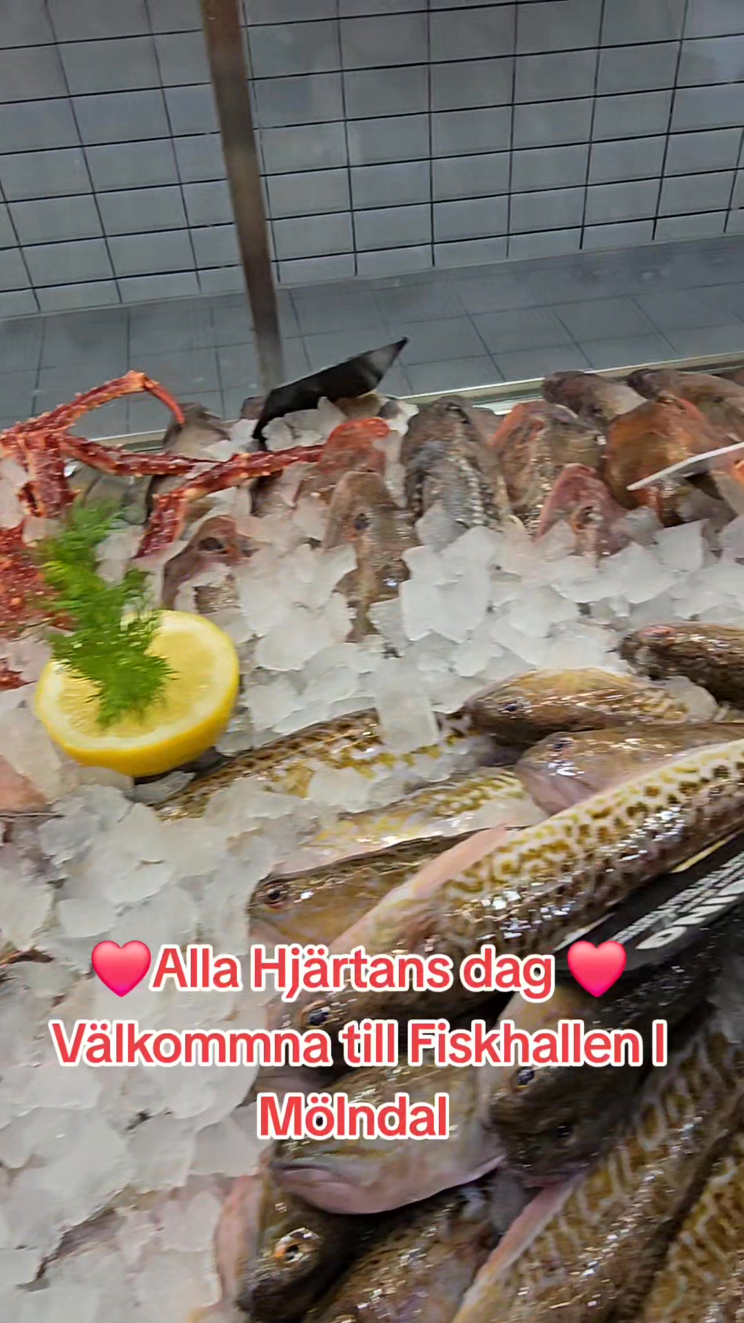 Fredag/Fiskhallen/Havetsläckerheter Färska Arkö räkor 299kr/kg lyx lyx ...
