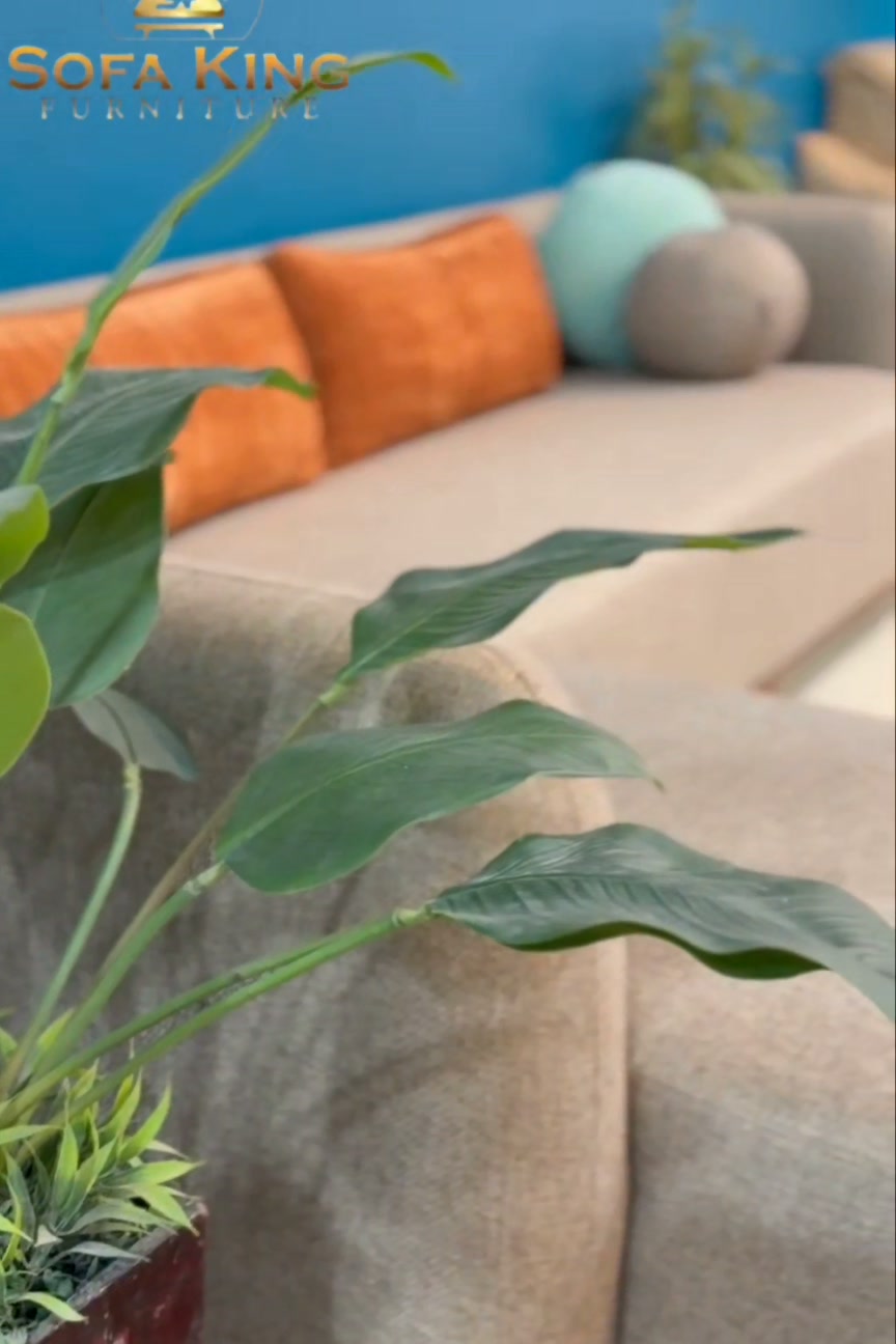 Comfort that feels like home. Sofa King Furniture – Where style
