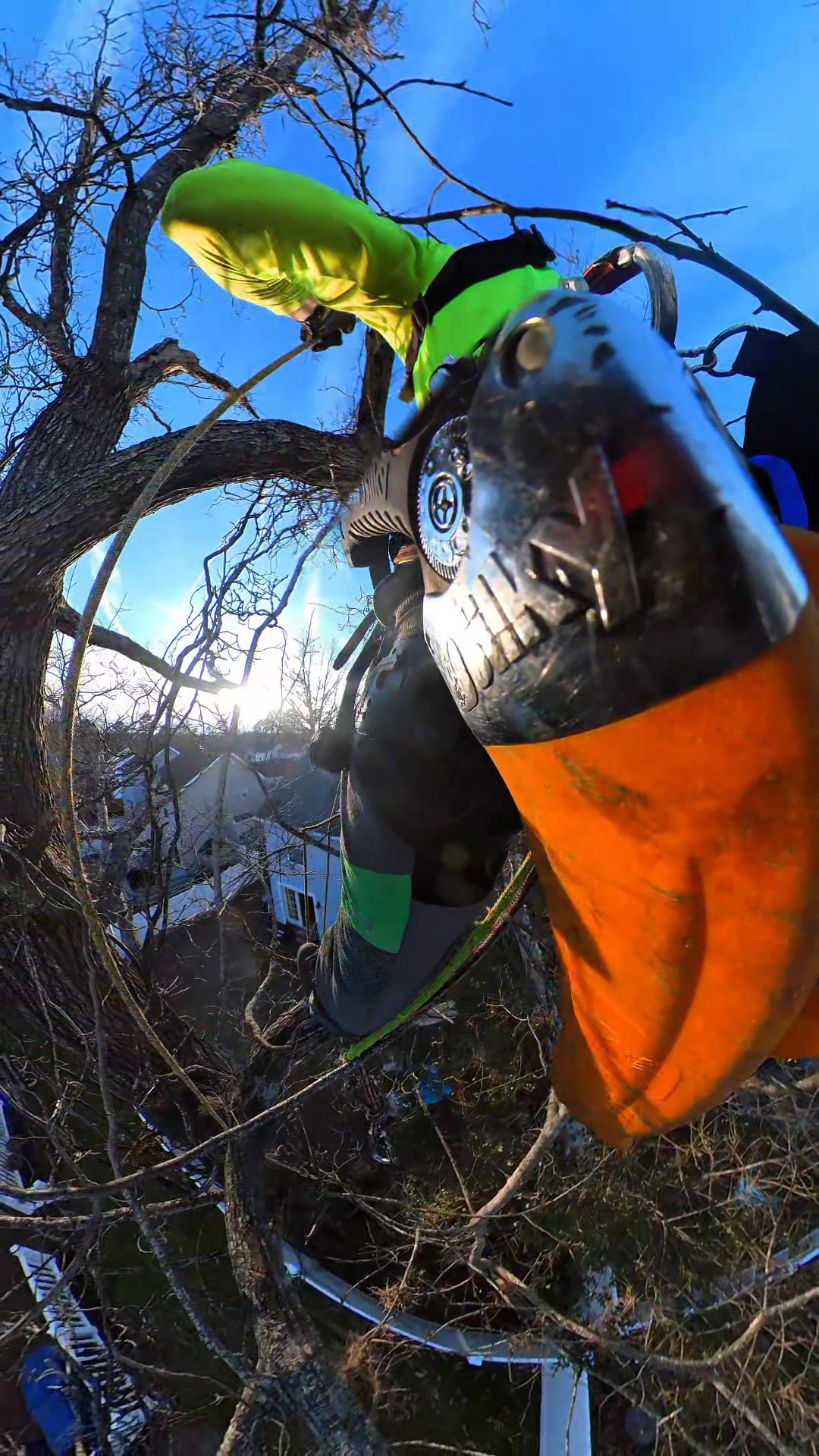 Tesla Tree Service on Reels | Facebook