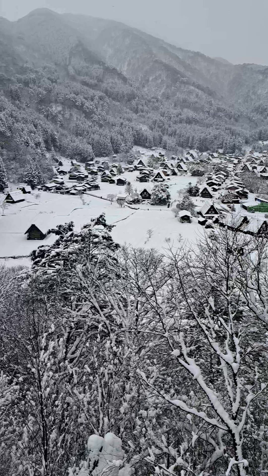 世界遺産白川郷 強い冬型の気圧配置の影響で、大雪となっています