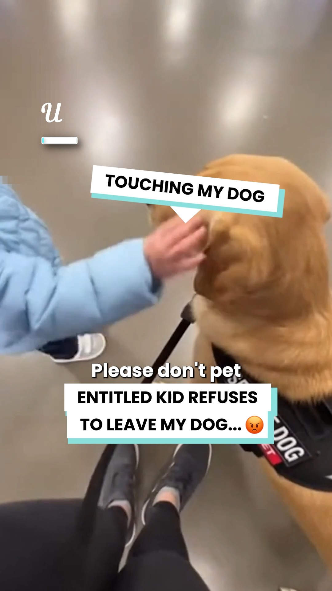 I'll give him to the count of 3 to stop... 😡 | Ultimate | Facebook