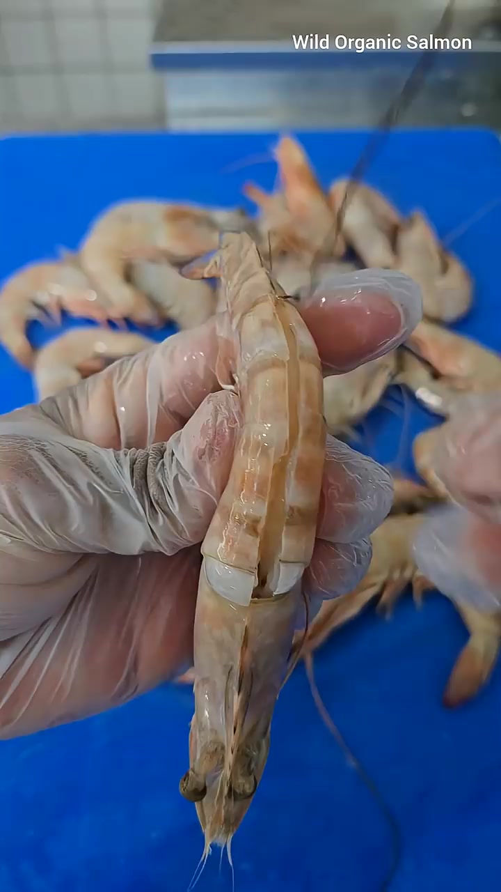️🦐 - How To Remove Veins From Shrimp - Prawns Cleaning By Scissor # ...