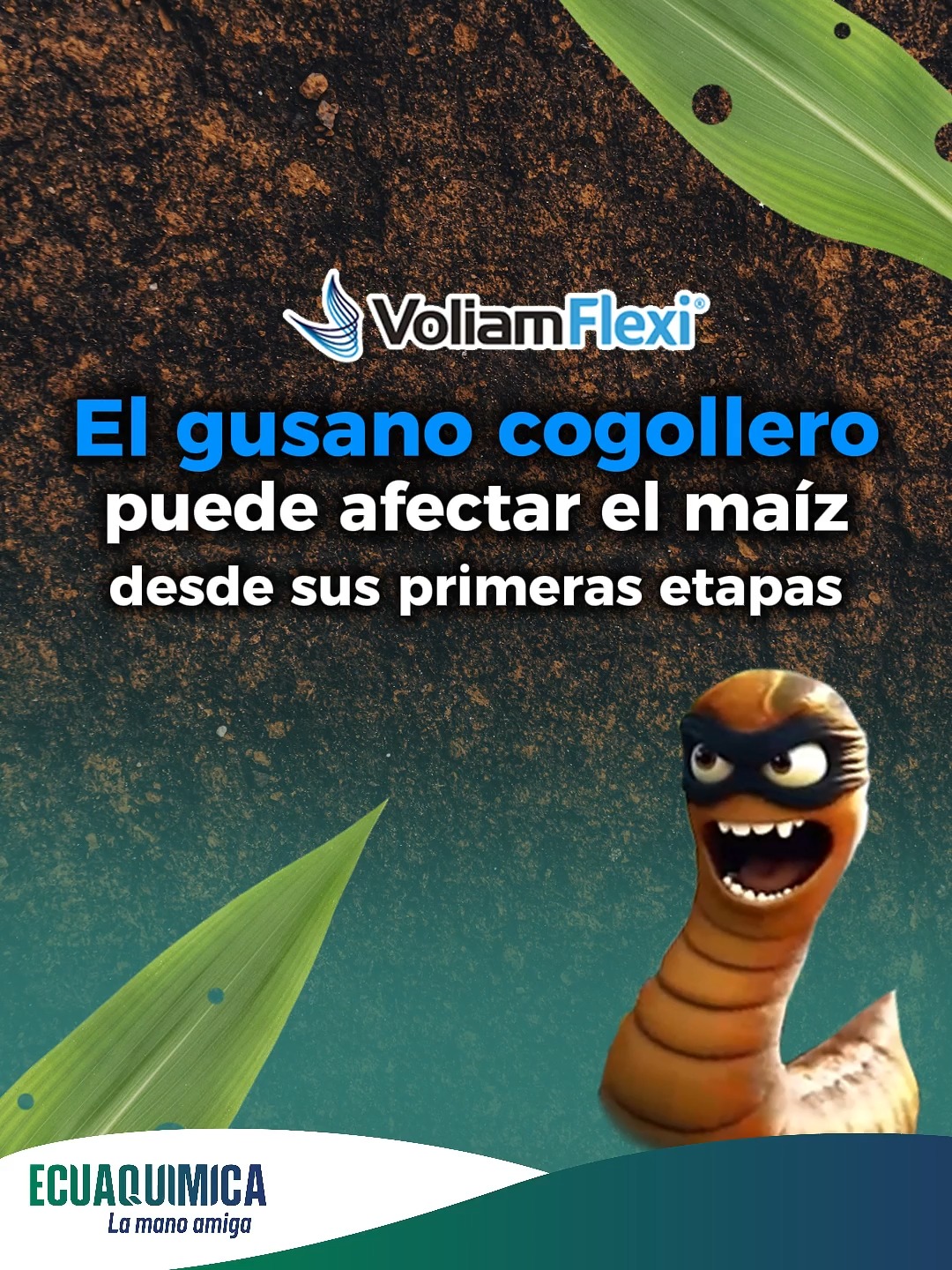 🚨 Protege tu maíz del gusano cogollero 🌽 VOLIAM FLEXI, insecticida de ...
