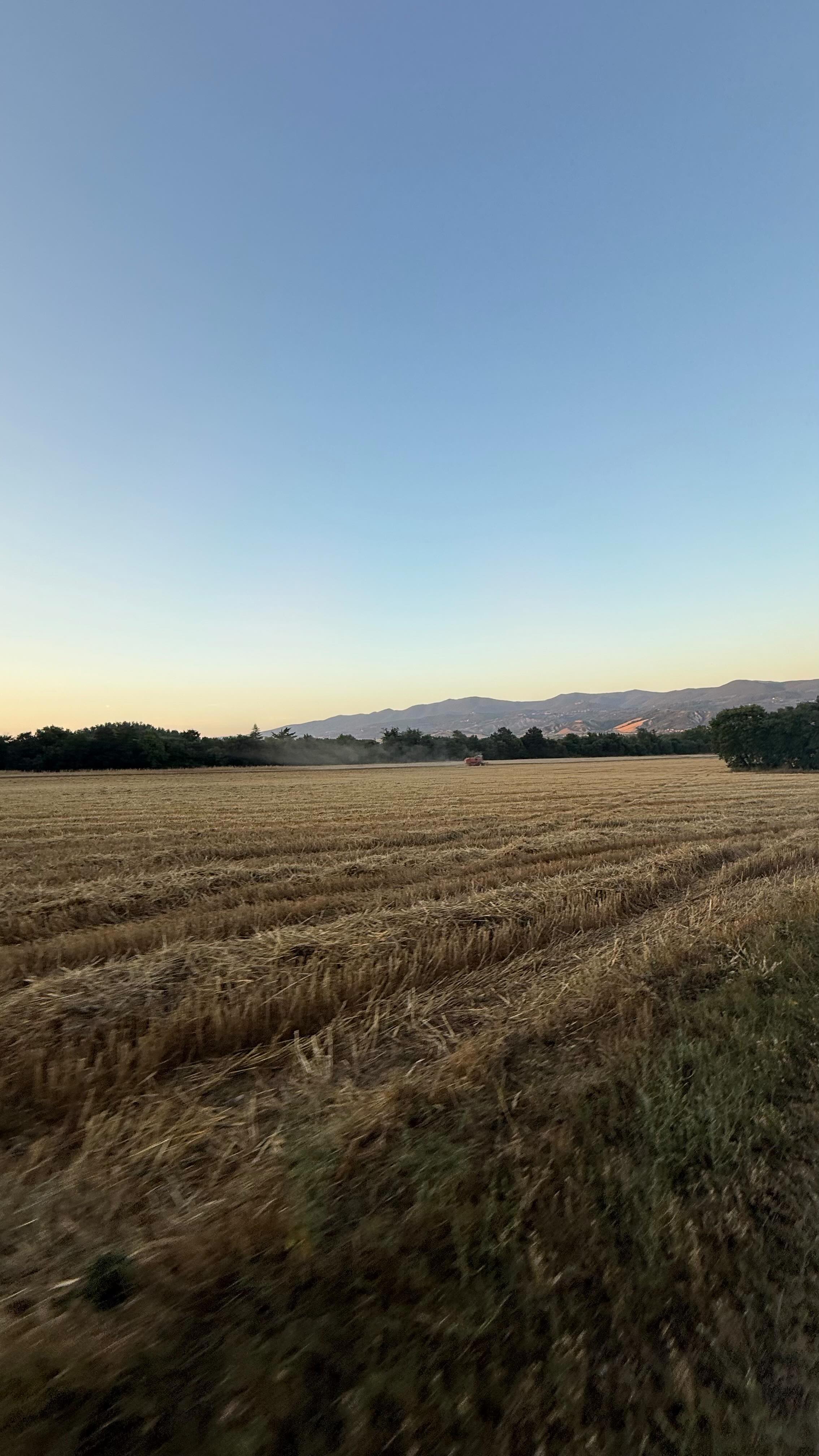 Agrifarm Patacchini | Graffignano