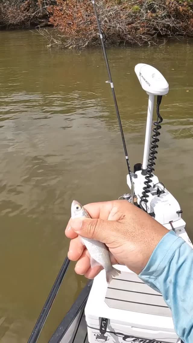 bait hook while fishing the sims 4 Chasing Peacock Bass in Colombian Amazon shaped GliderTail . Sims 4 Fishing Guide: Fish
