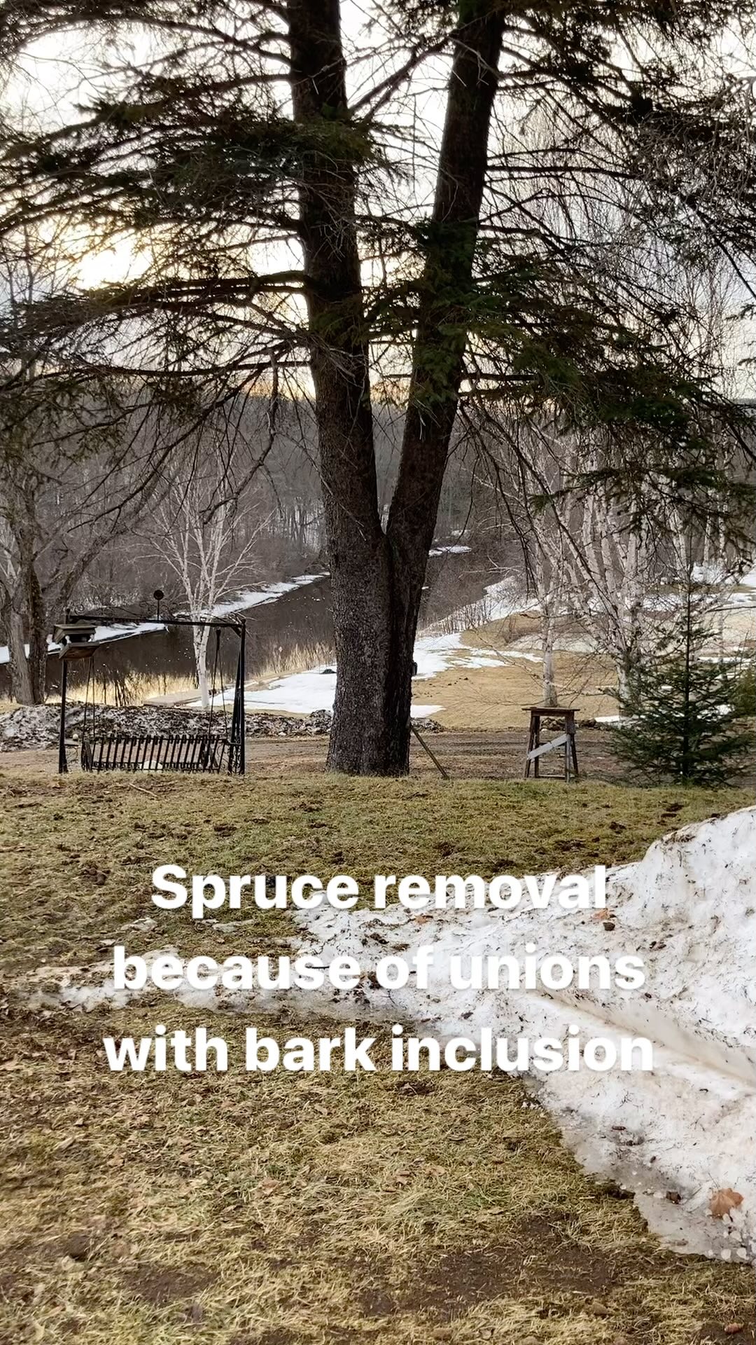 Schmeler Tree Removal & Services | Burks Falls ON