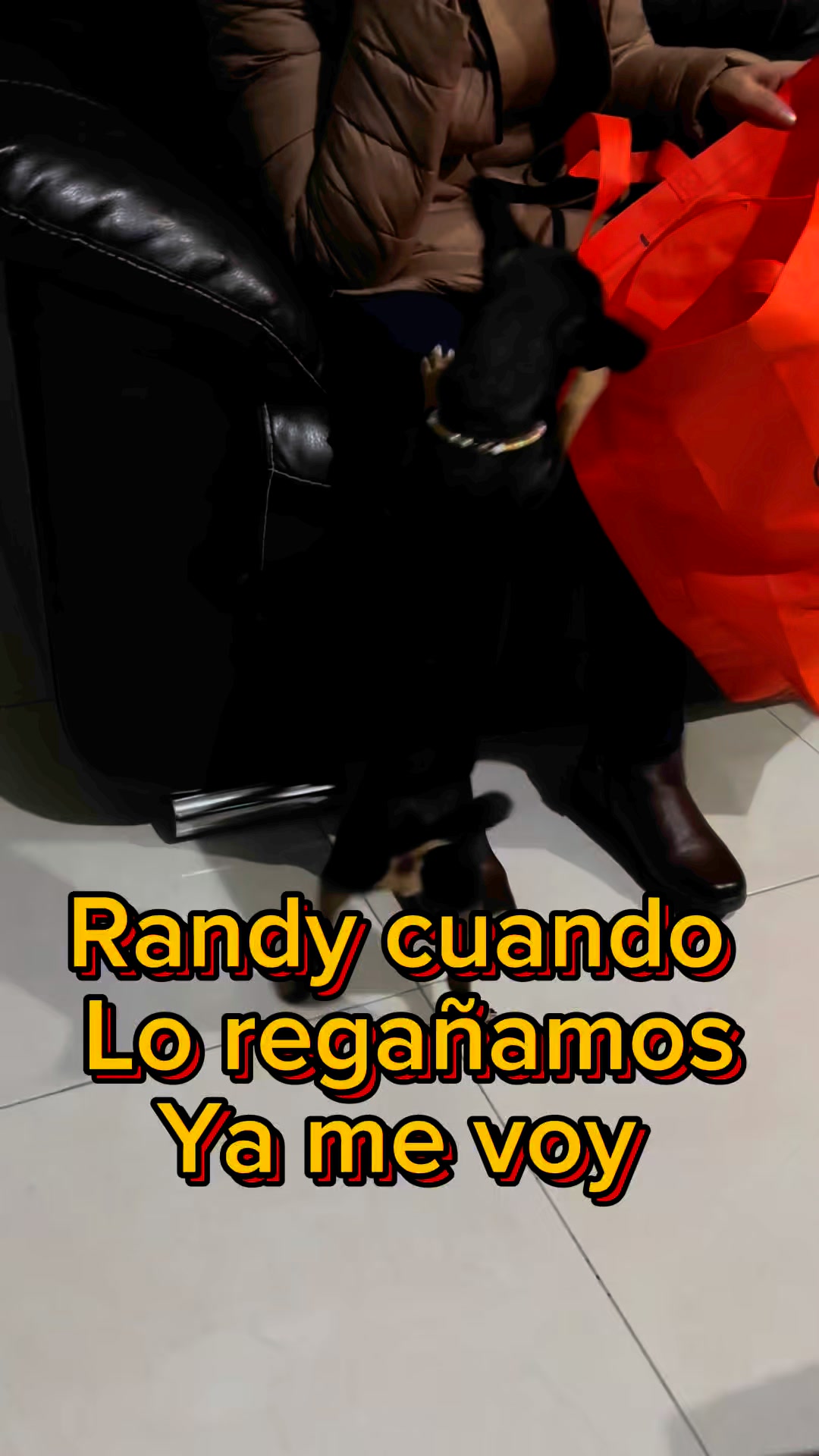 Randy seguro hace hasta maletas por un regaño, gracias!! Por pedir ...
