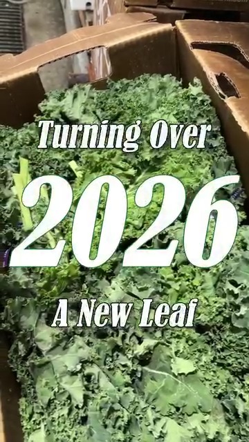 Photo inspiration: We Ve Decided To Turn Over A New Leaf In Photo Inspiration