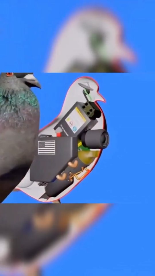 Robotic Pigeons are a new generation of lightweight, camouflaged