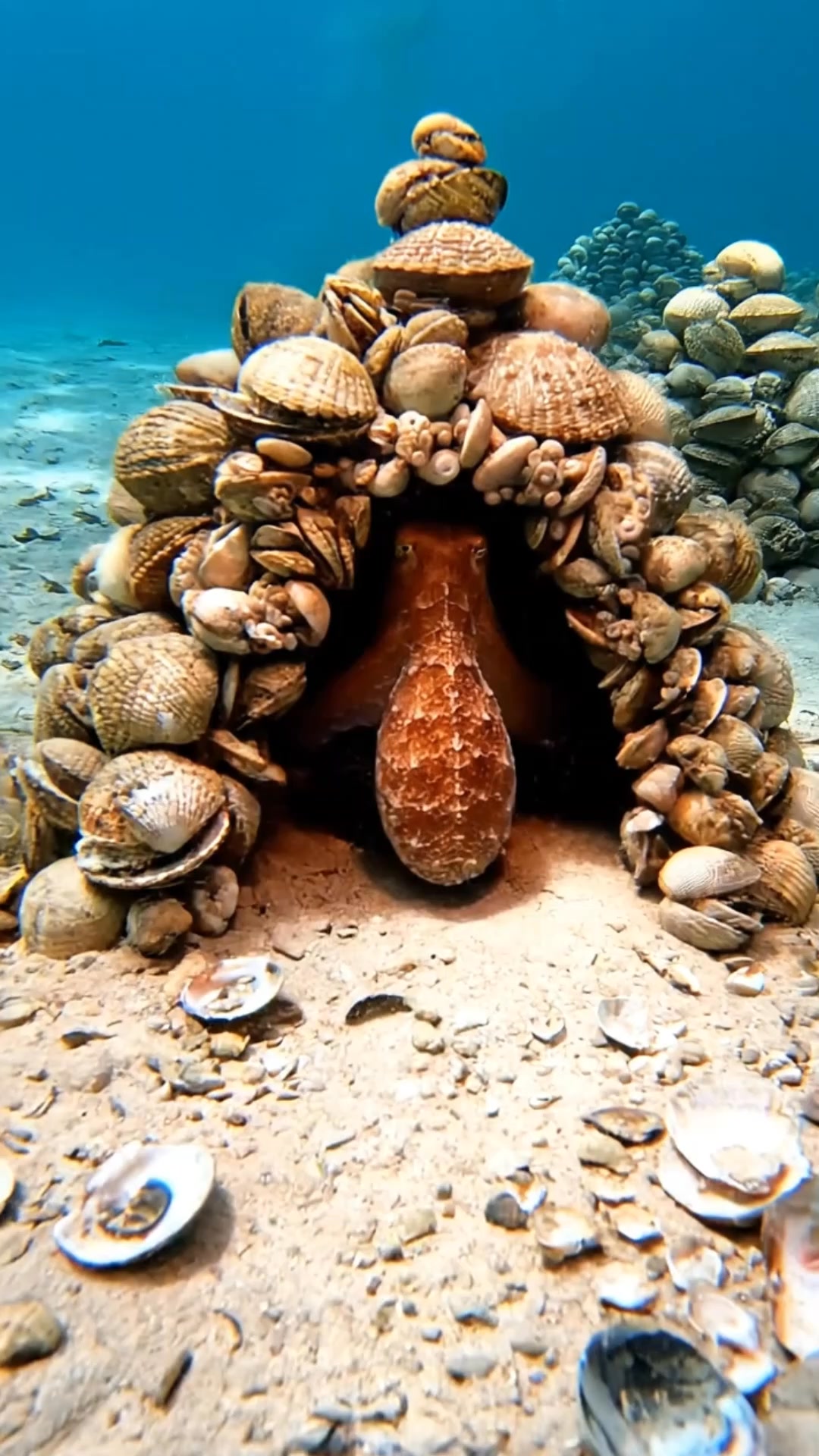 Marine researchers have uncovered an extraordinary underwater site off ...