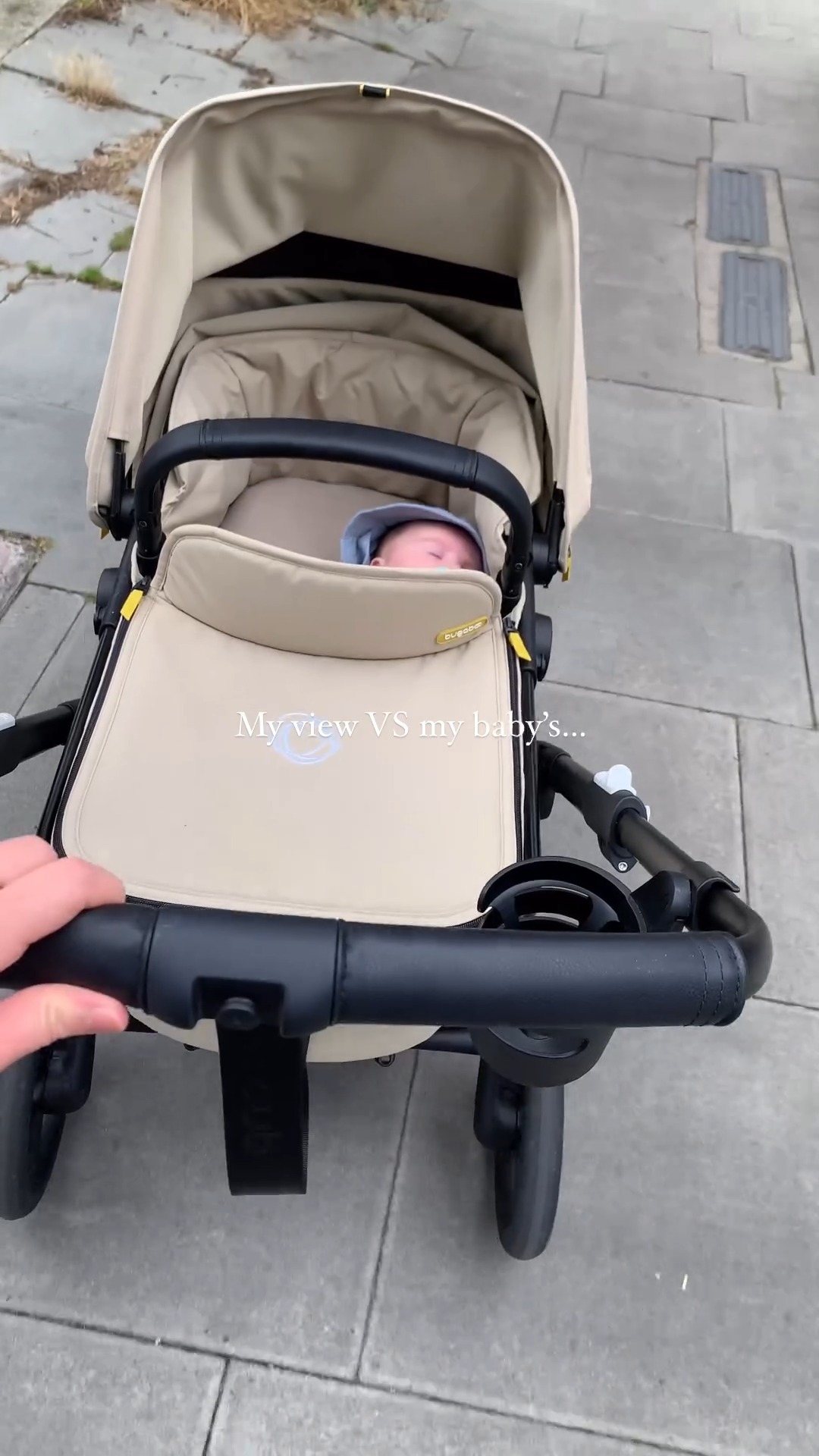 uppababy mesa 2015 vs 2017 Infant Car Seat Online Size:11.4g (2/5oz) repack Zebco Big Cat XT position headrest ALPHA PHI ALPHA