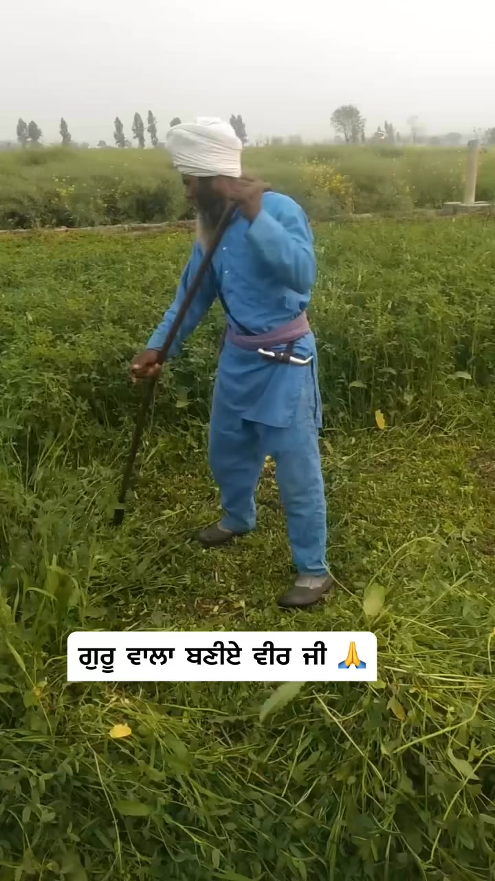 mr-punjab-experiment-facebook
