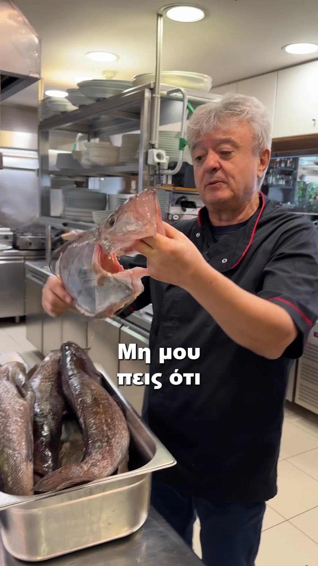 Μαύρη Θάλασσα - Η πανέμορφη στήρα! 😋 | Facebook
