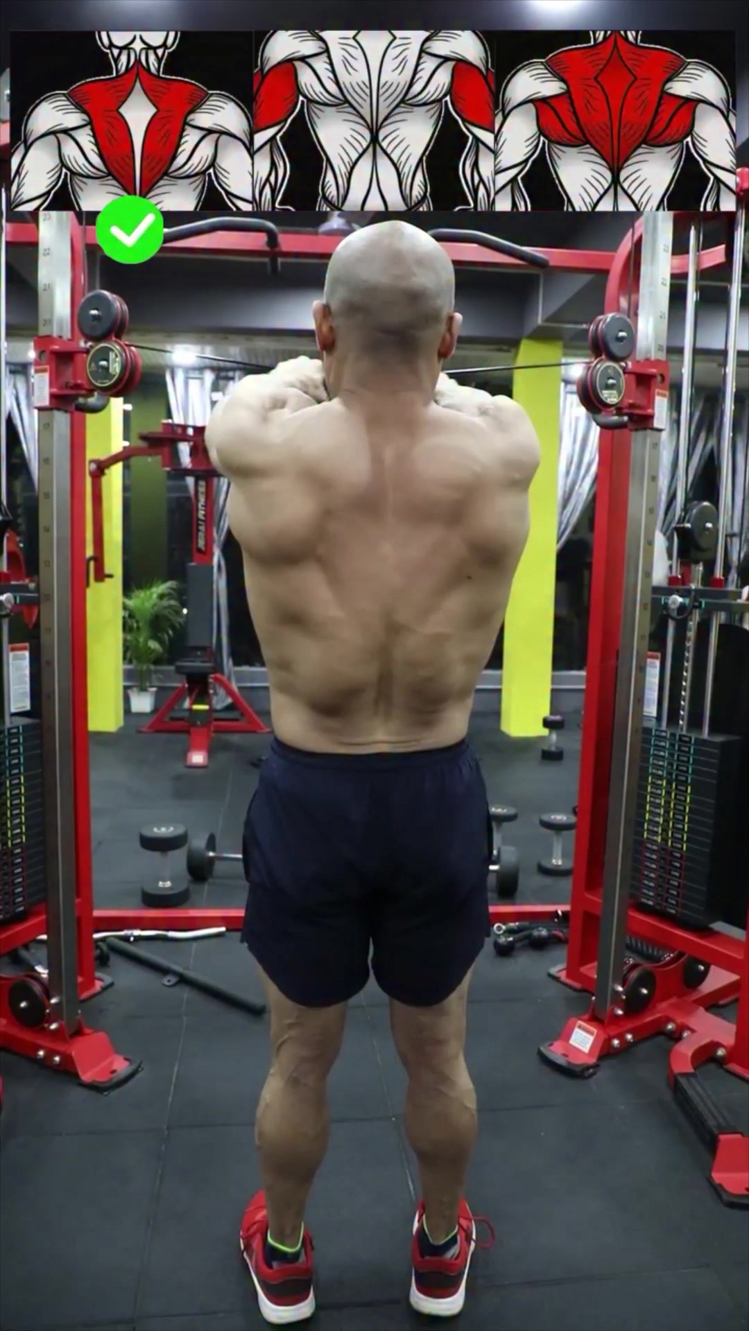 Cross Cable Triceps Extension: Keep your upper arms locked in place and ...