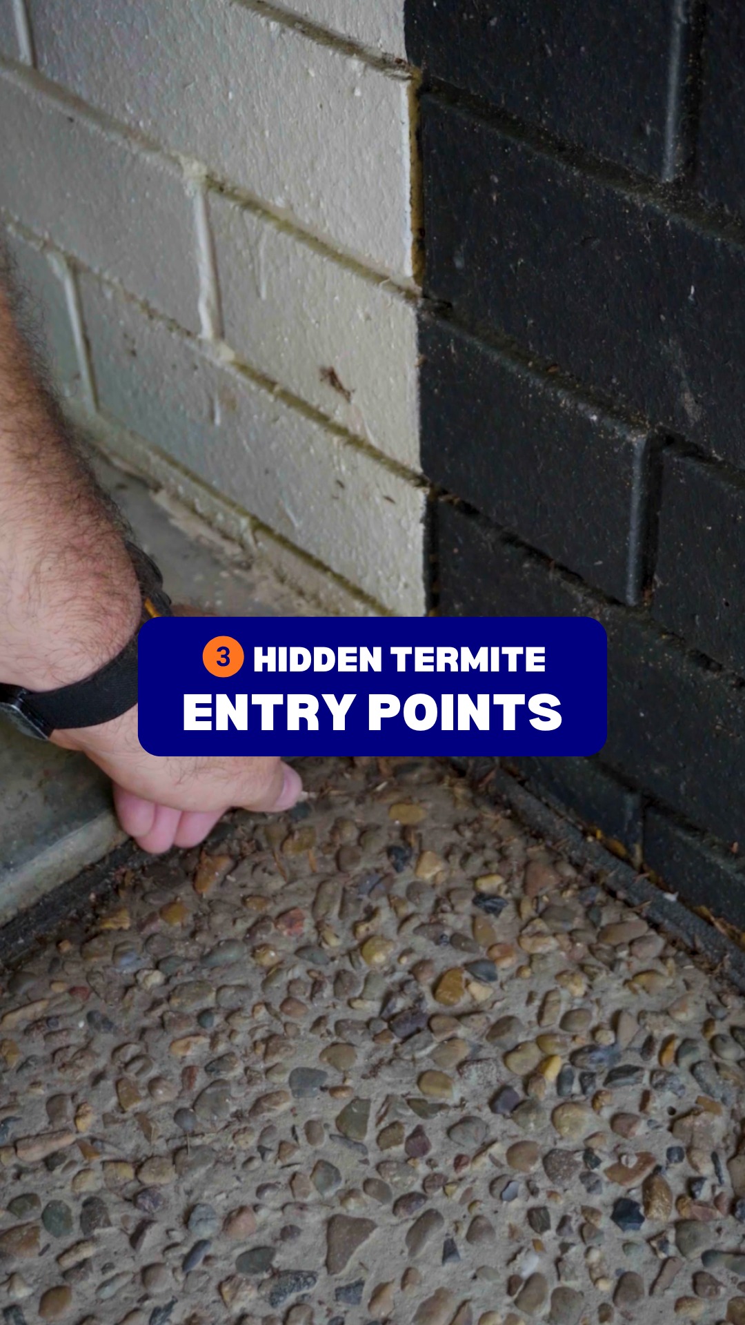Don't overlook potential termite entry points you constantly walk past ...