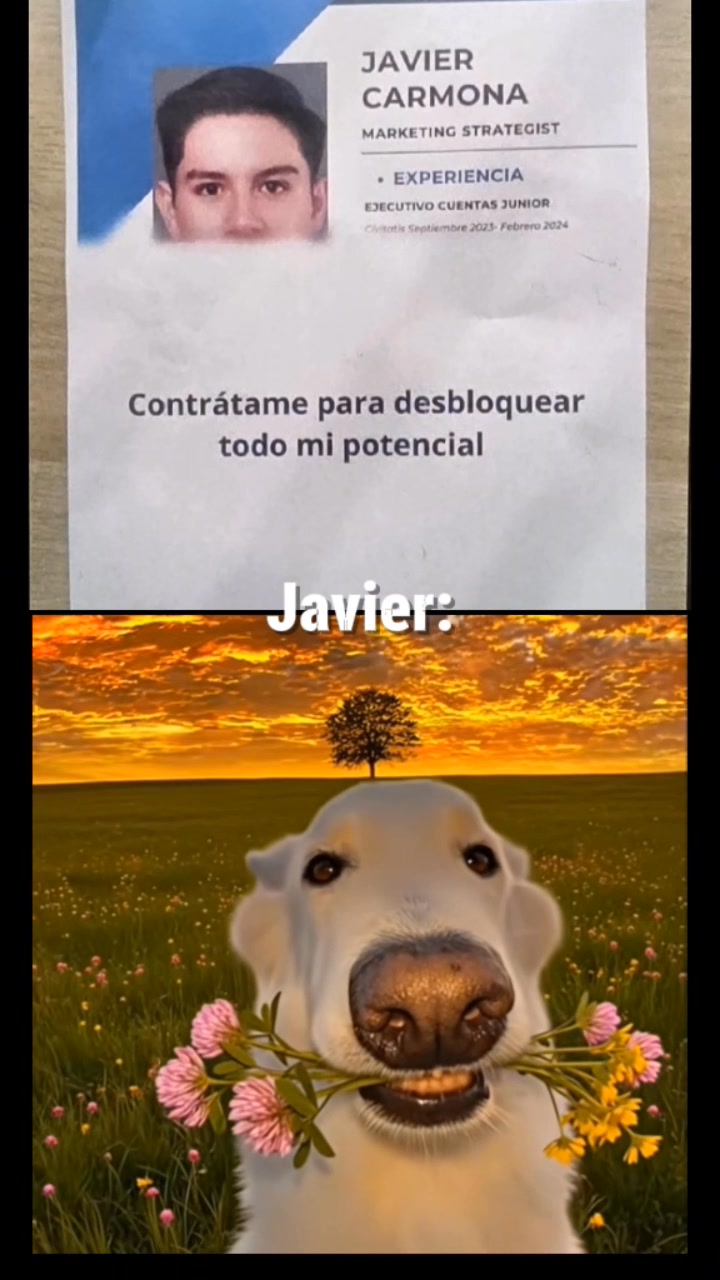 Javier: #reel #meme #funny #parati #viralreelsシ | rdniko | Facebook