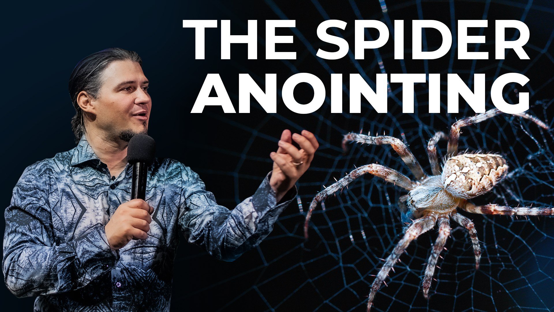 Have you ever considered the spider? Watch this revelational clip 