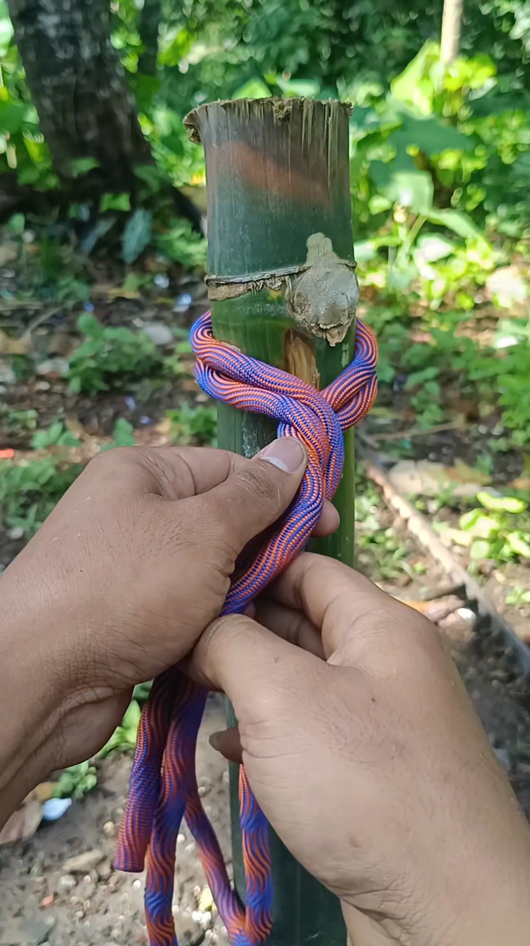 Simple Knot Tricks You Can Learn in Minutes”#KnotTutorial #a #rope # ...