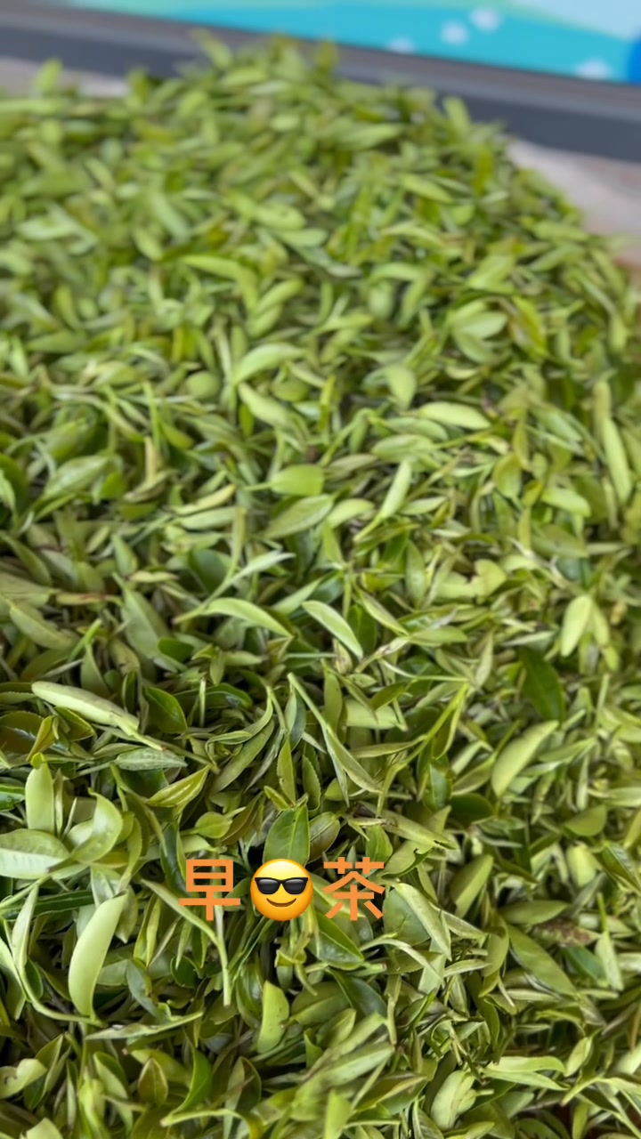 三峽茗茶祥興行