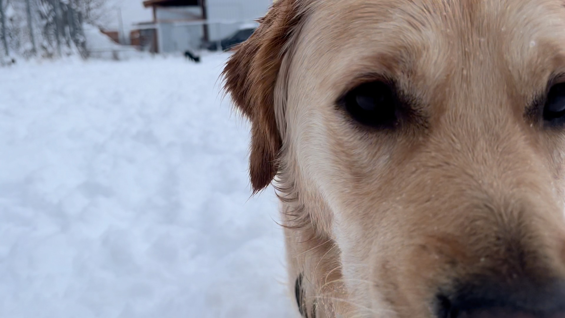 Odin is happy to announce the winners of our snowfall contest! Because ...