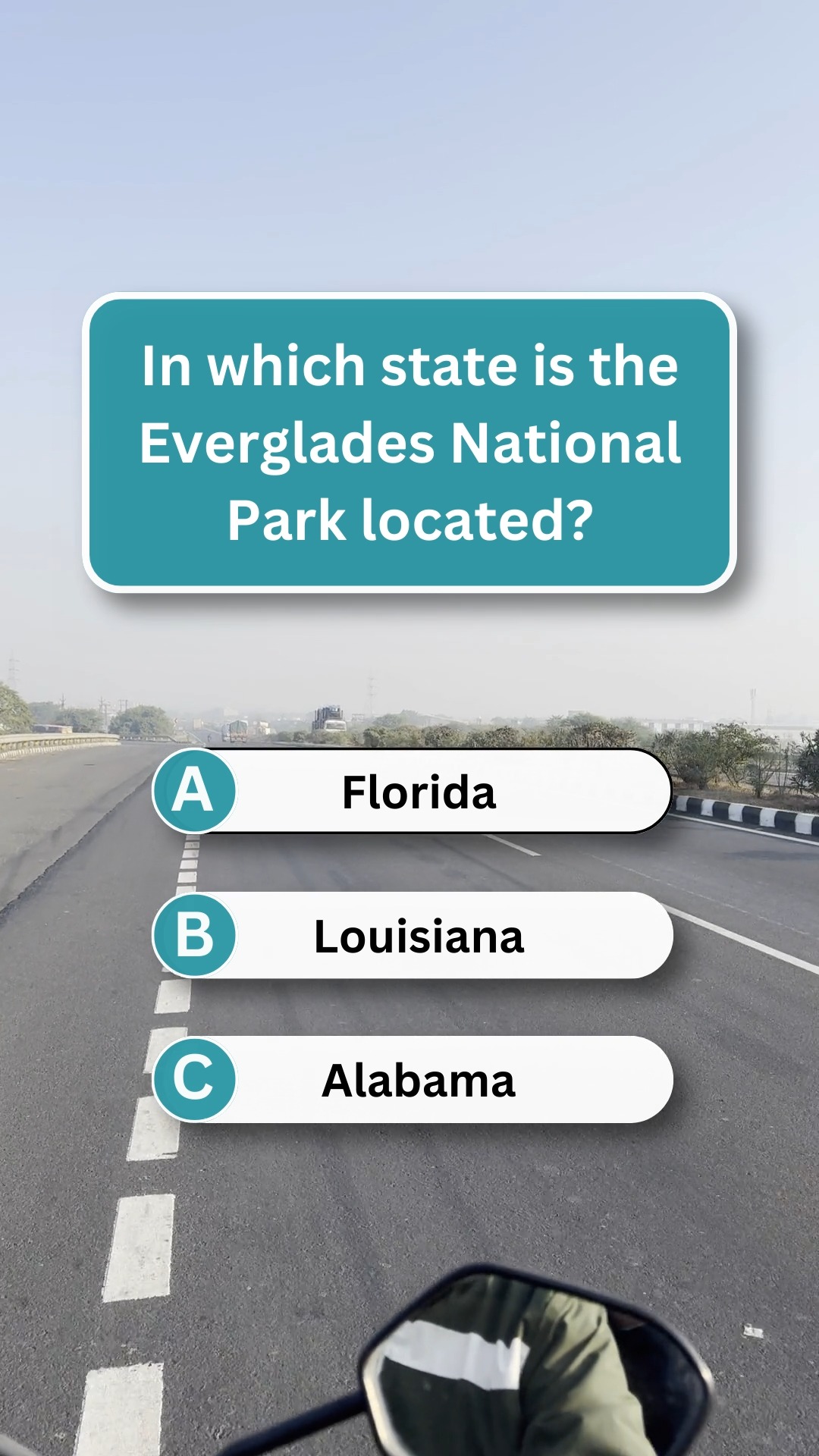Everglades wildlife state 🐊🌿 #quiz #brainteaser #riddles | Riddle World ...