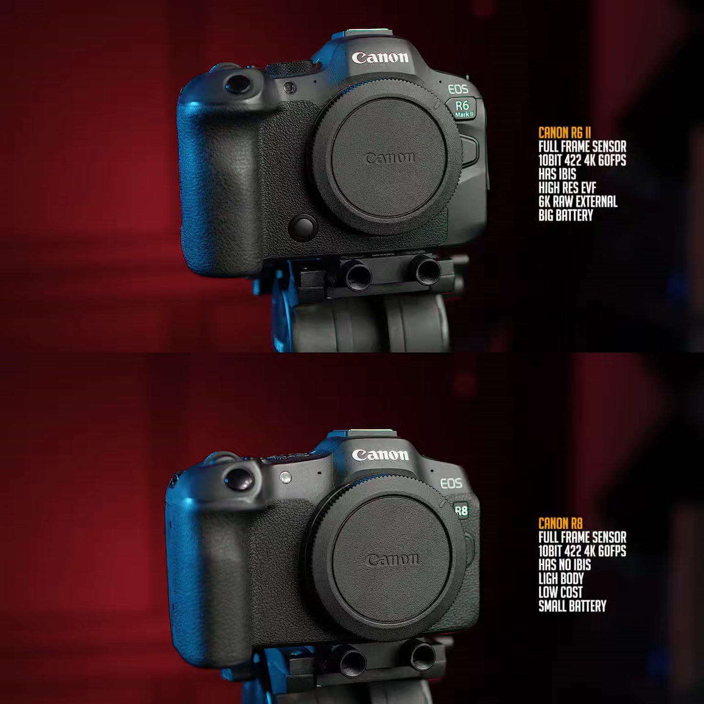 The Cheap Canon R8 is Better than the Expensive Canon R6 mark ii [PART ...