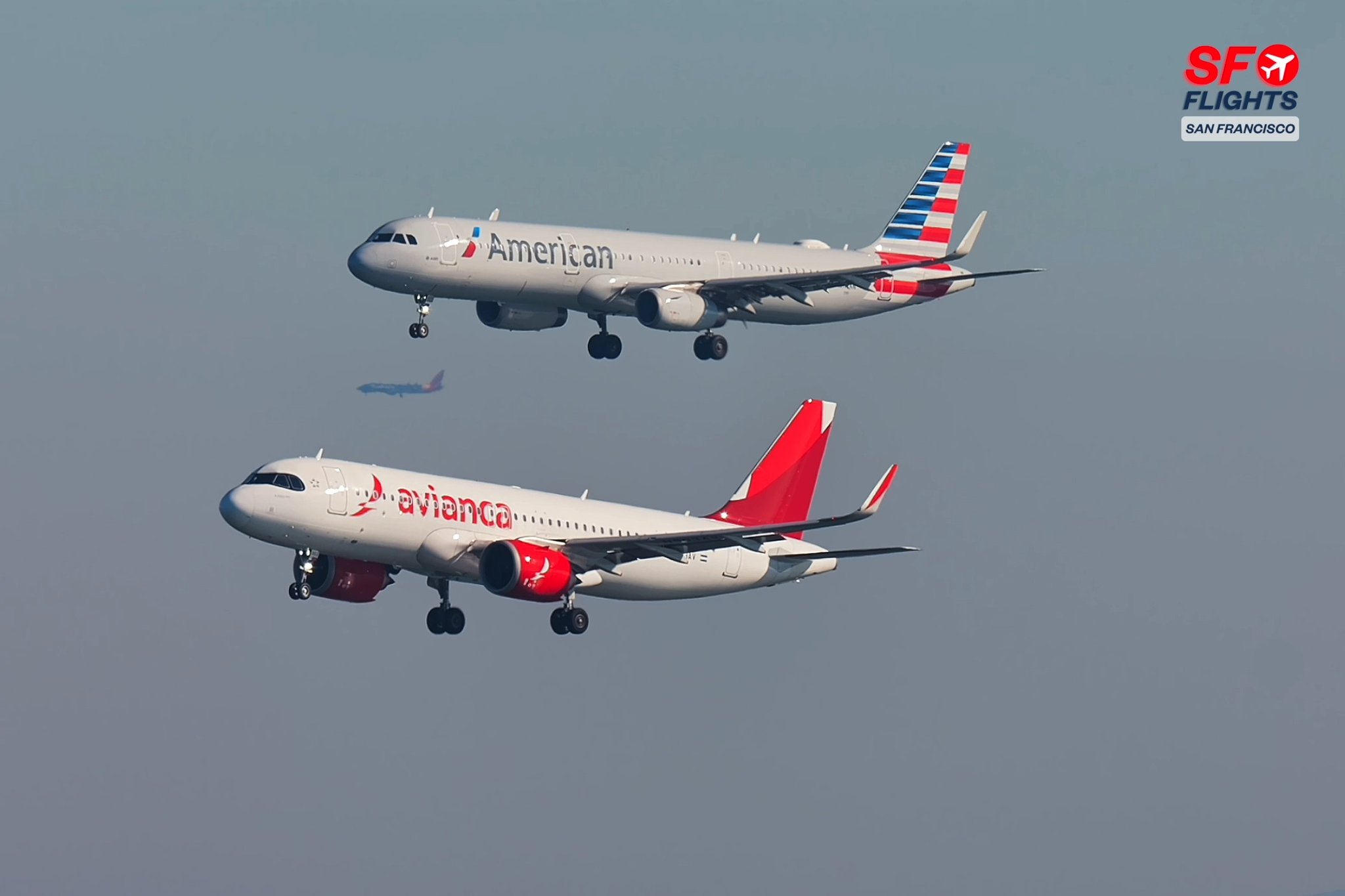 👀 Find the Third Airplane! 🛬🛬 Avianca and American Airlines Double ...