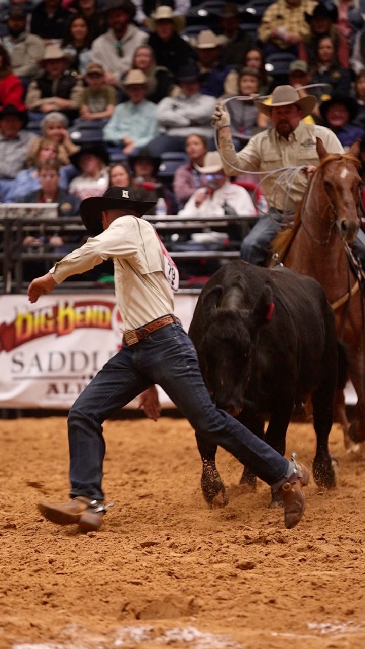 Sometimes the COWS win. • 📸: @haley_sueee • #wrca #bullfighting # ...