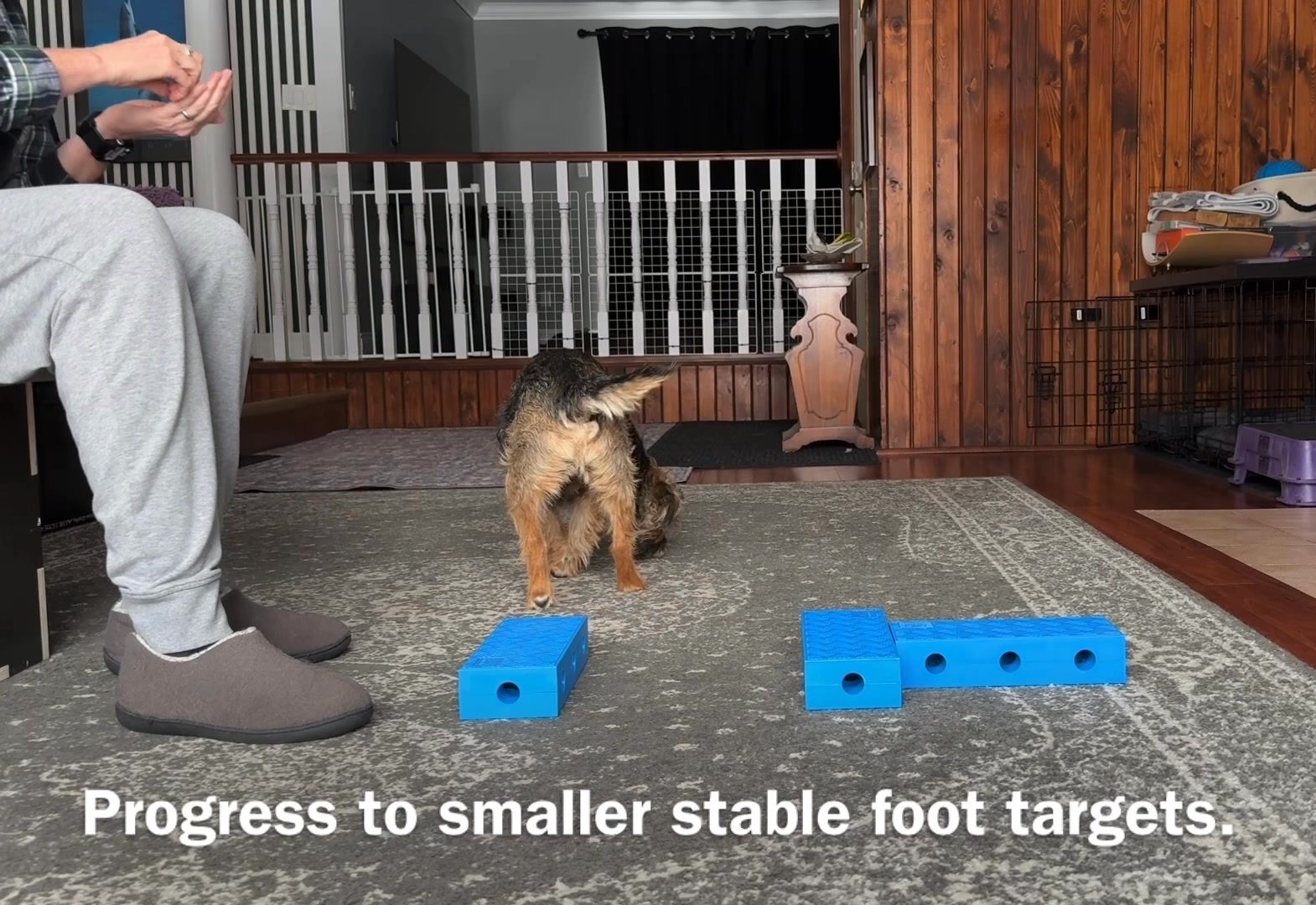 One of the exercises we do at all levels in our 4 Paw Drive classes is ...