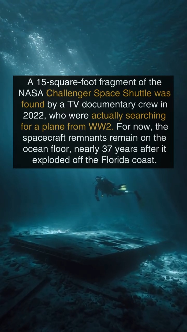 One of the largest pieces ever found of the Challenger