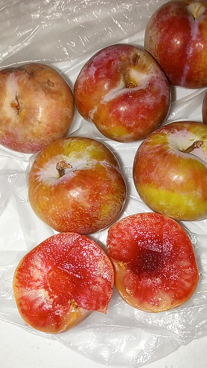 果物 HIROMI Hiromi red plum … Very good plum variety both in taste 👅 and