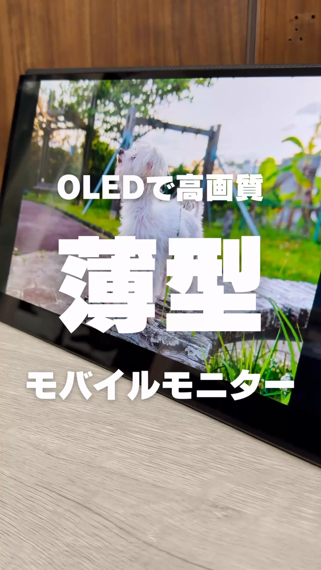 Intehill T13FA 有機EL モバイルモニター タッチ対応 PR Intehill - T13FA【タッチ対応の有機ELモバイルモニター】 購入先