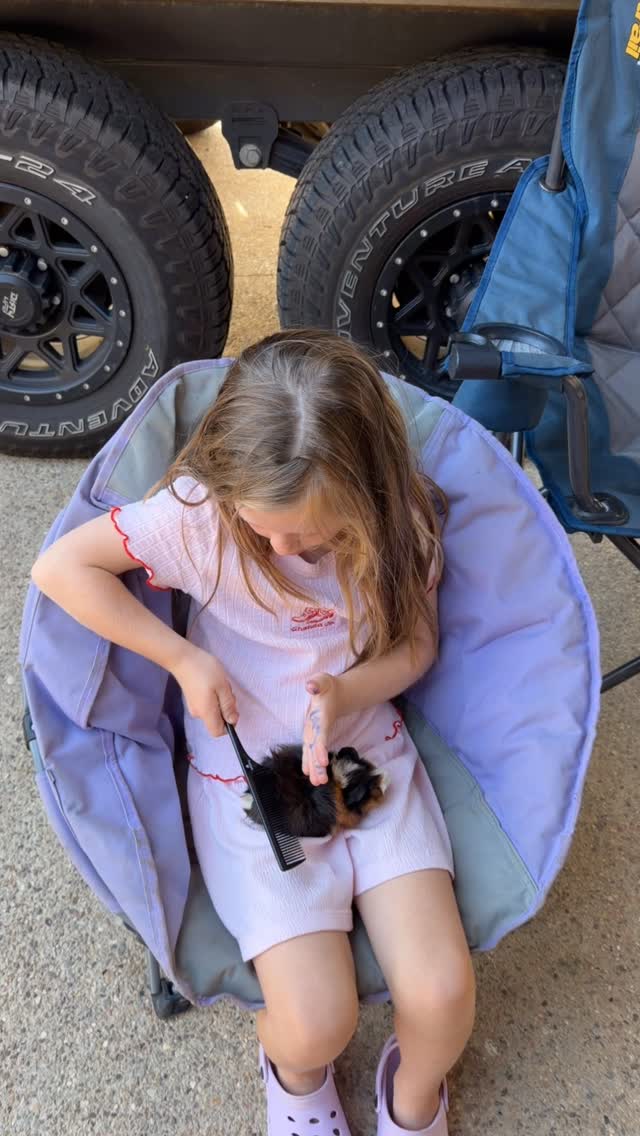 Josh Neille - Walked outside and found Ashlee with Amber’s... | Facebook