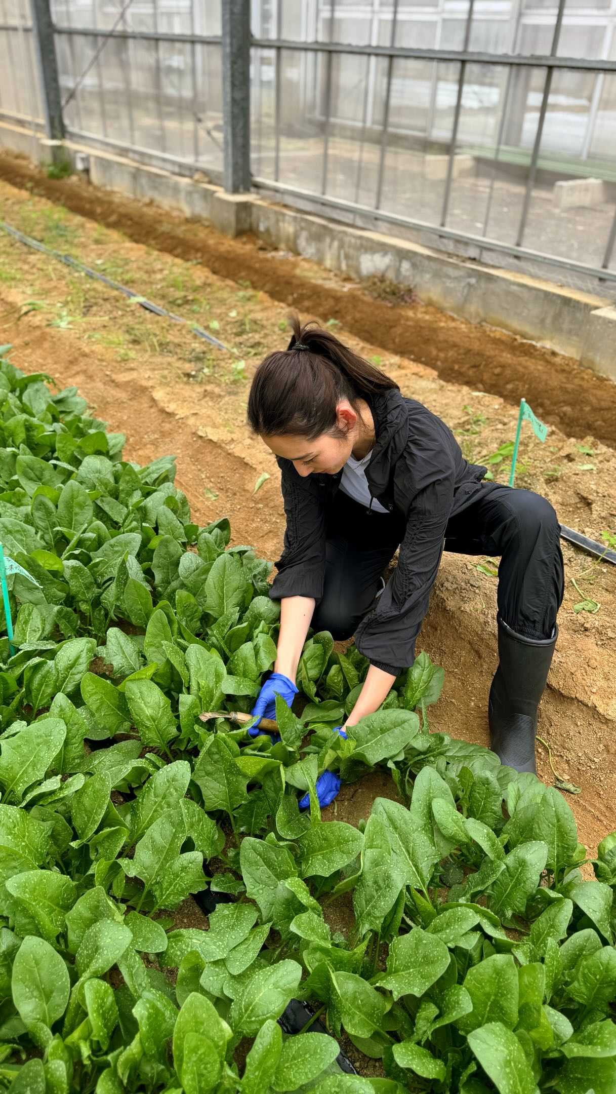 Moekofukuda-福田萌子