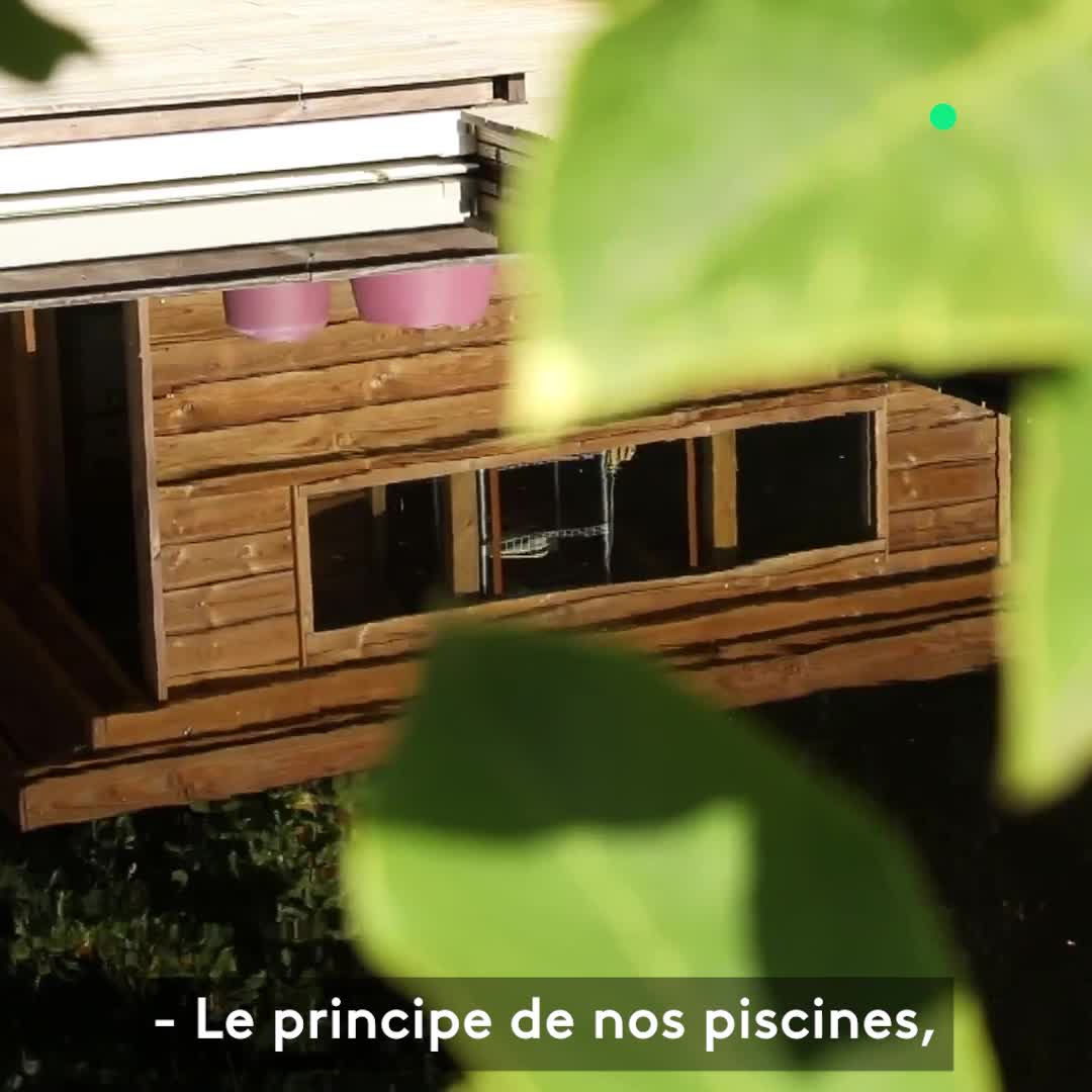 Piscine Naturelle Bois Silence Ca Pousse
