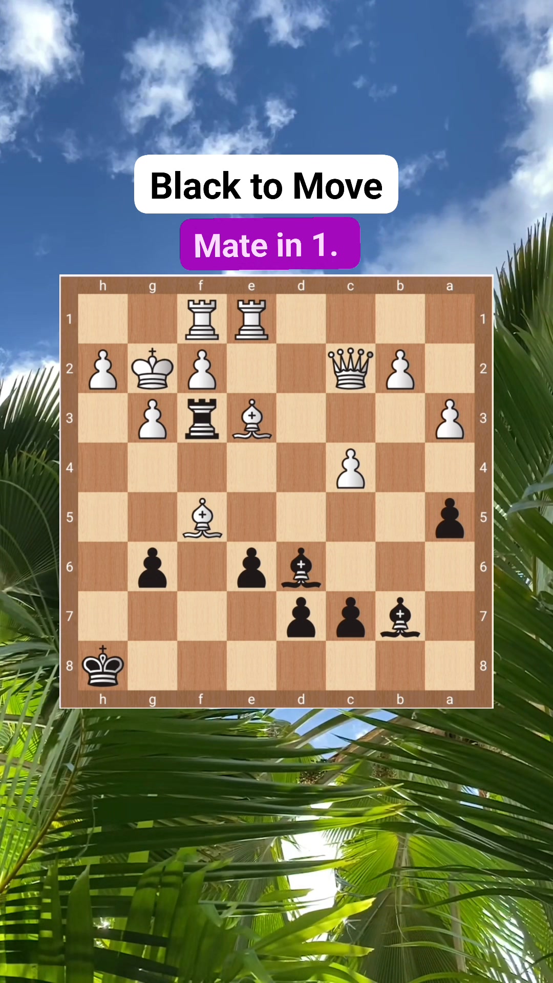 Can YOU Spot Mate in 2? Don’t Blink #chess #chesspuzzle #chessproblems ...