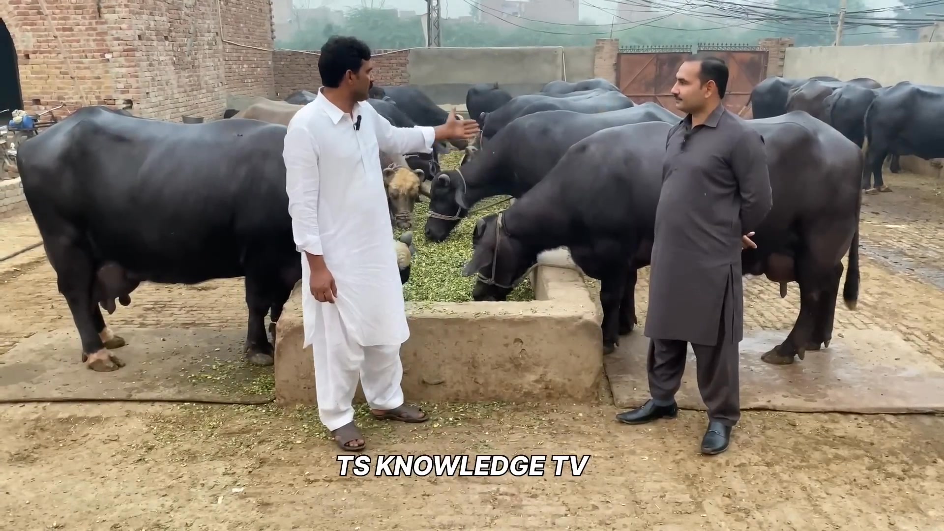ts-knowledge-tv-dairy-and-agri