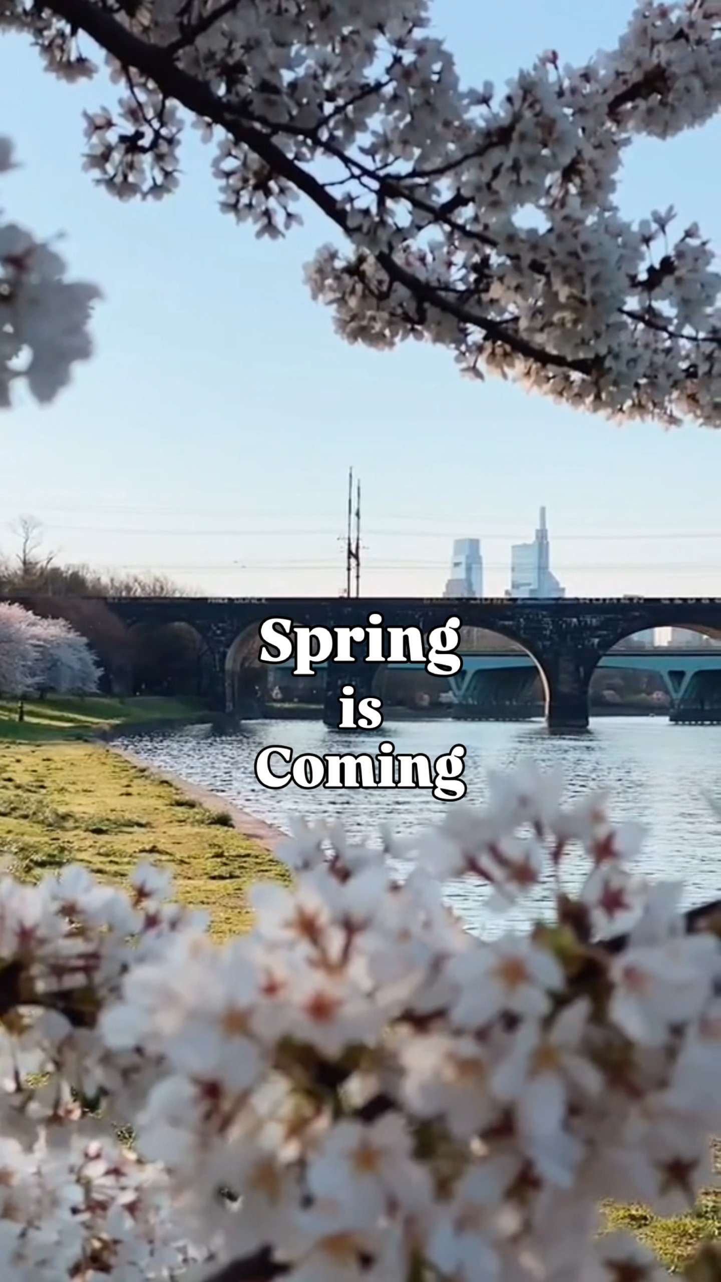 See you soon, Philly Spring. 🌷🔔 🔗... - Discover Philadelphia | Facebook