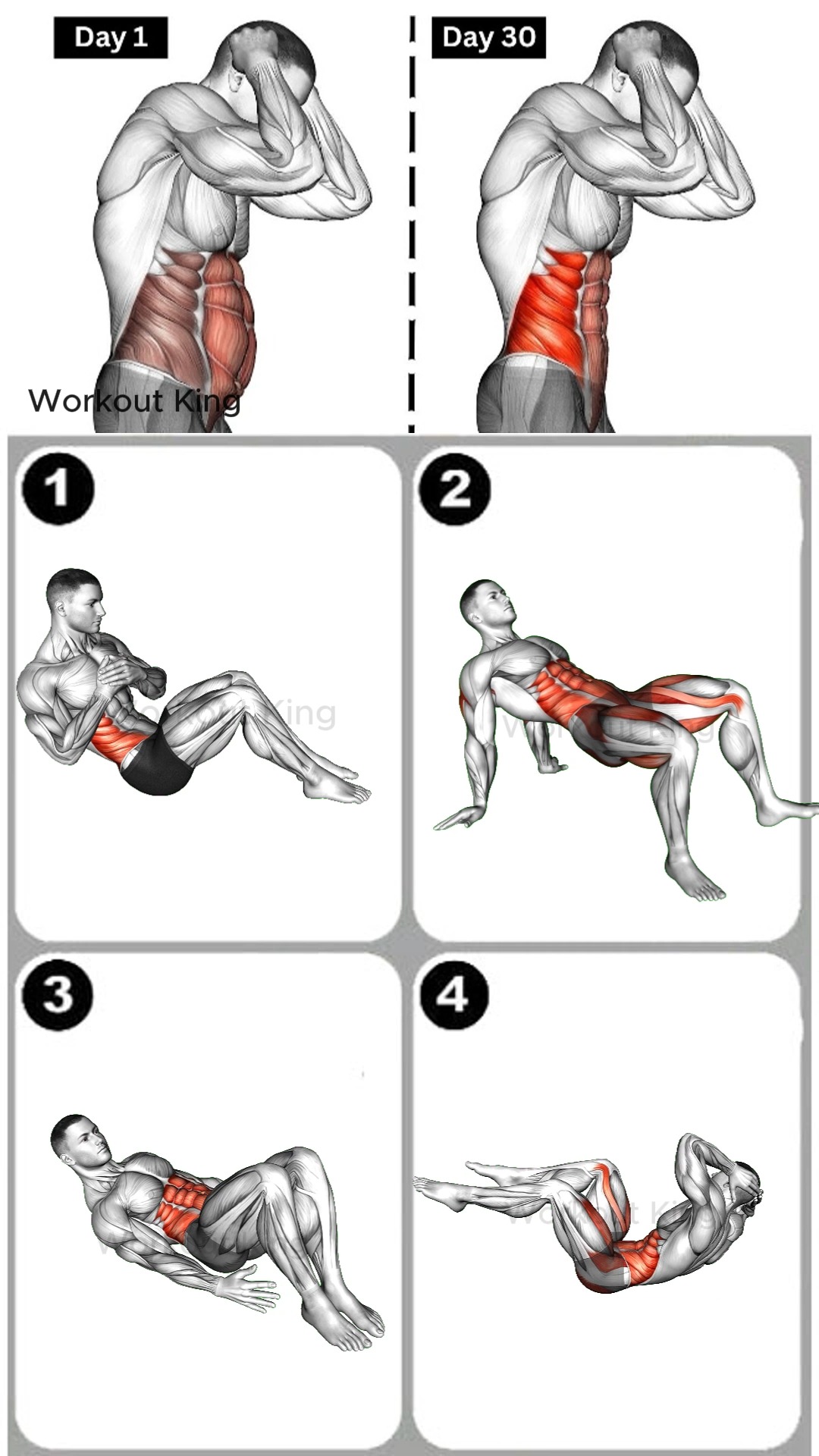 No equipment? No problem! 🙅‍♂️ Sculpt your core from home with this ...