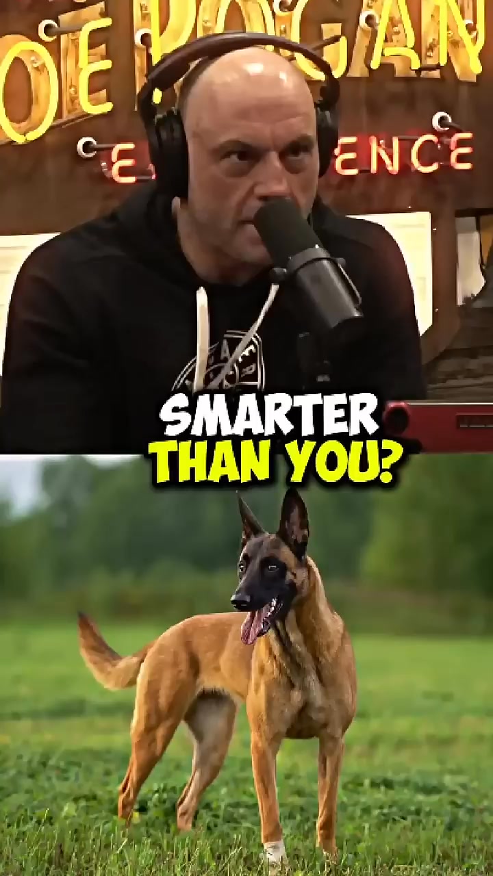Joe Rogan Recalls Scariest Dog | Oblivion Clips | Facebook