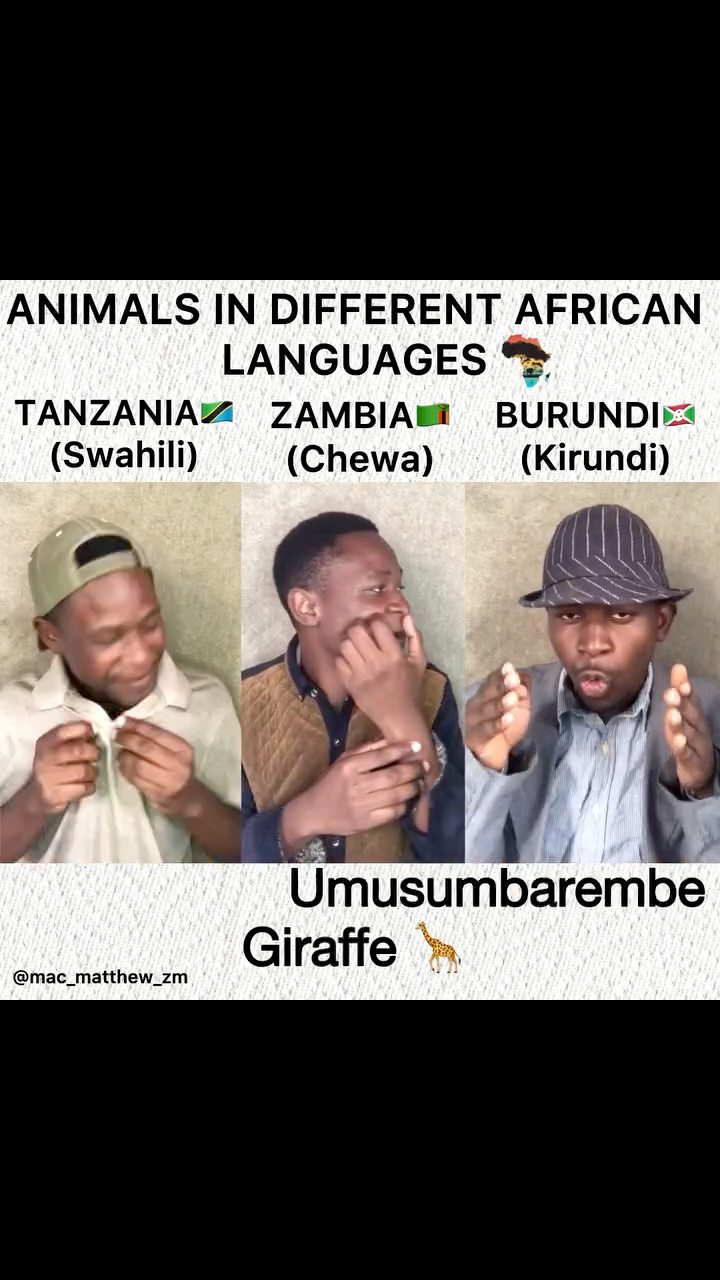 WORDS IN DIFFERENT AFRICAN LANGUAGES New Episode 😁 🇲🇼 🇰🇪 🇿🇲 Enjoy ...